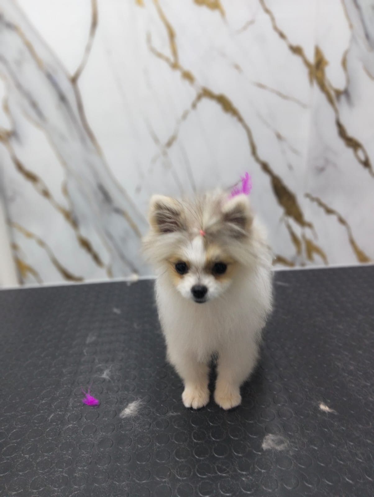 test tıraş öncesi